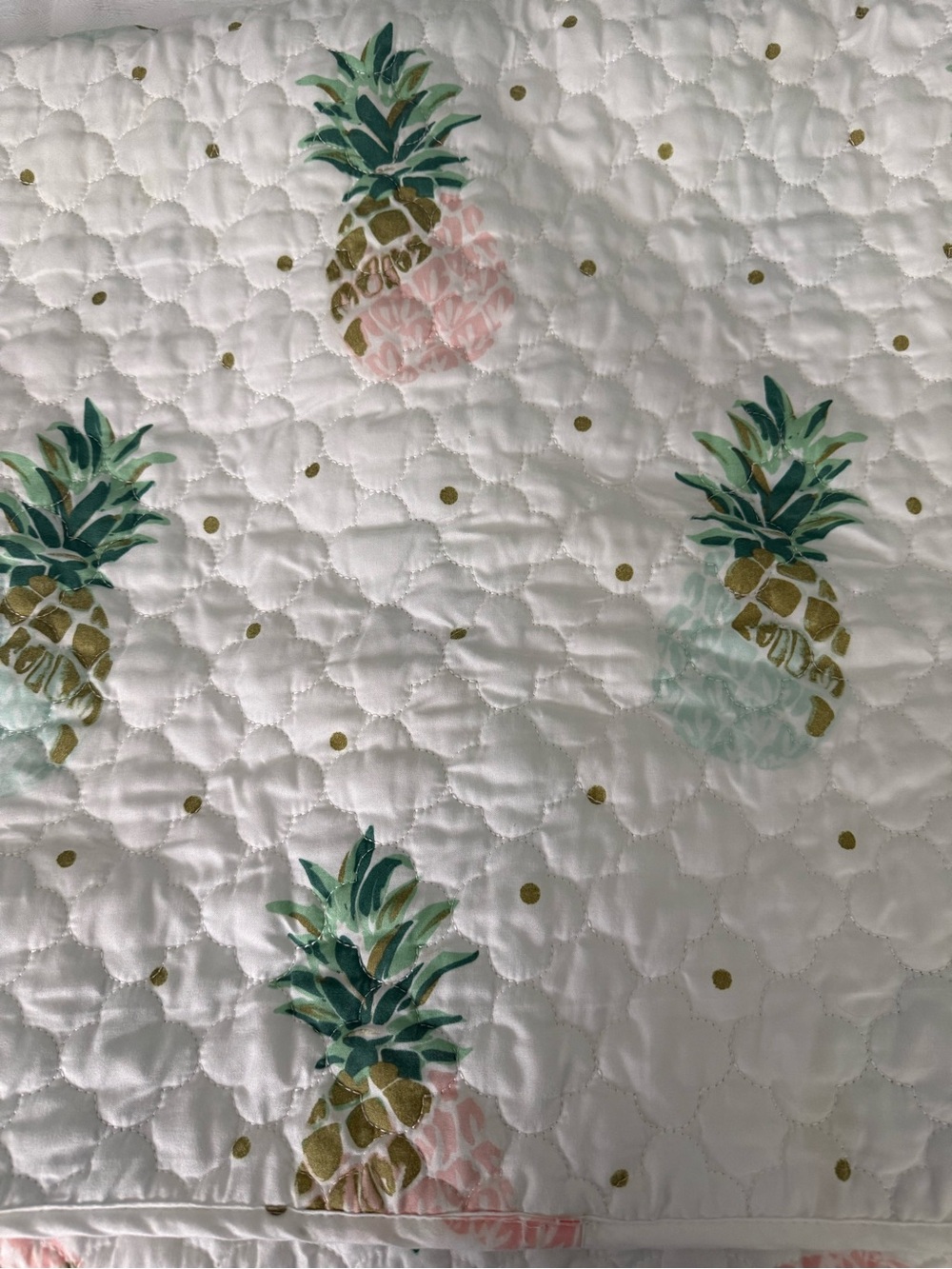Cynthia Rowley Pineapple Twin Size Printed Quilt